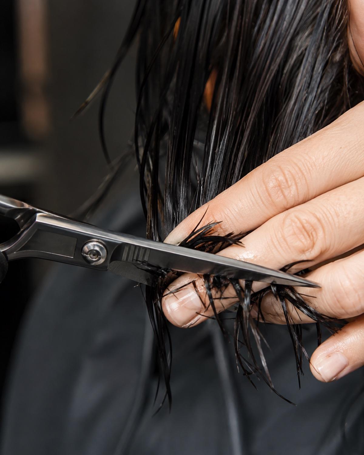 A stylist precision point-cutting wet dark hair with scissors at Empire salon in Corby